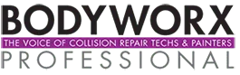 Bodyworx Professional Logo